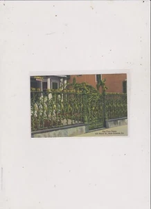 CORN FENCE-NEW ORLEANS POST CARD NOT POSTED SHIPPIMG AND TRACK IN U S FREE - Picture 1 of 1