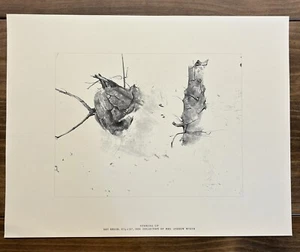 Andrew Wyeth “Storing Up”Reproduction 17”x 13” 1962 Four Seasons Portfolio - Picture 1 of 7
