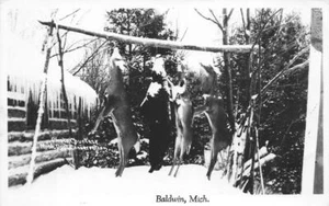 RPPC Baldwin, Michigan Deer Hunting c1950s Real Photo Vintage Postcard - Picture 1 of 1