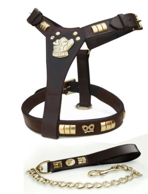 STAFFORDSHIRE BULL TERRIER LEATHER DOG HARNESS & CHAIN LEAD SET IN BRASS FITTING - Image 1 of 4