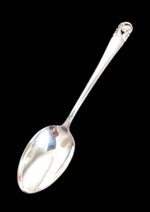 Tablespoon (8.5" Serving Spoon) Spring Glory Sterling By INTERNATIONAL SILVER - Picture 1 of 4