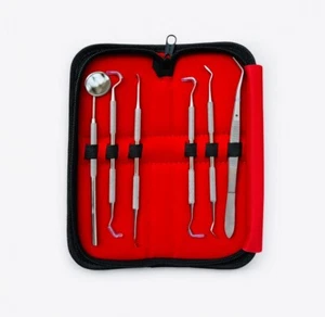 Kit de limpieza dental de acero inoxidable herramientas dentistas para tratamiento dental 6 piezas. - Imagen 1 de 7