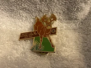 Lions Club District #22-B Maryland, Serving the Eastern Shore 1994-95 Pin - Picture 1 of 3