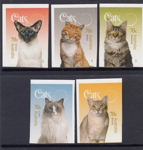 .AUSTRALIA - 2015 GATOS Mascotas Juego completo de 5 P&S Estampillada sin montar o nunca montada - De los folletos - Imagen 1 de 1