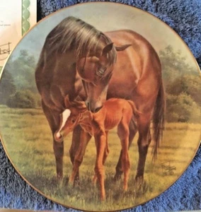 Race Horses Collector Plate First Day w/COA - Picture 1 of 4