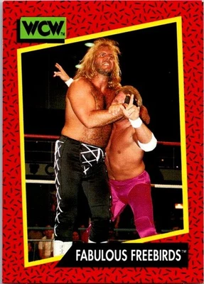 1991 Impel WCW #123 Fabulous Freebirds - Image 1 of 2