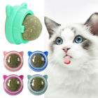 5x Rotatable Cat Treat Toy with Catnip Snack Licking Ball Kitten Pet Molar Toys↘