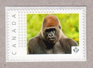 GORILLA = monkey = Picture Postage stamp = MNH Canada 2016 p16/02mk4/3 - Picture 1 of 2