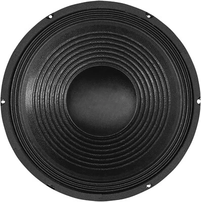 10" 100W Chassis Speaker Driver - Image 1 of 3