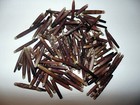 1/2  POUND SEA URCHIN SPINES 1 to 2-3/4"  SEA SHELL DECOR CRAFT REEF NAUTICAL