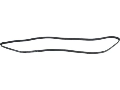 Cinturón multi costilla para GMC Savana 2500 2003-2017 API 23493RZ Foto 1 de 2