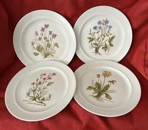 Vintage Bavaria JWK Western Germany Set of 4 Botanical Floral Plates - Picture 1 of 8