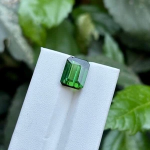 5.35 Carat Natural Green Tourmaline Faceted Octagon Cut Loose Gemstone - Picture 1 of 4