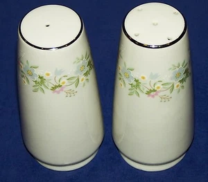 Lovely JOHANN HAVILAND Pair of FOREVER SPRING Salt & Pepper Shakers - Picture 1 of 3