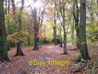 Photo 6X4 Scholes Wood Scholes/Sk3995 Photograph Showing Range Of Autumn C2003