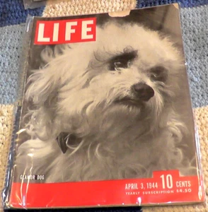 LIFE MAGAZINE APRIL 3 1944 GLAMOR DOG COCA COLA PANAMA AMIGO COKE ADVERTISING - Picture 1 of 6
