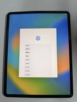 Apple iPad Pro 12.9" 4th Gen A2229 – Bent - Image 1 of 4