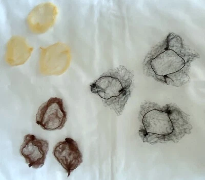 Bun Hair Net Classic Mesh Ballet Dance Gymnastic Equestrian Hair Bun Nets Access - Image 1 of 4