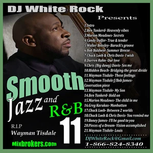DJ White Rock Smooth Jazz and R&B vol.11 - Picture 1 of 1
