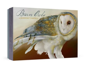 Granada - Jeannine Chappell: Barn Owls - 20 tarjetas y sobres en caja 0468 - Imagen 1 de 5