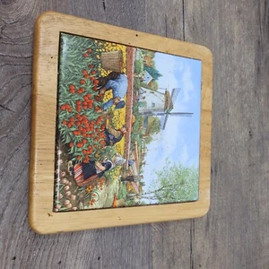 Bandeja de azulejos de Holanda decorada a mano por Ter Steege rara - Imagen 1 de 4