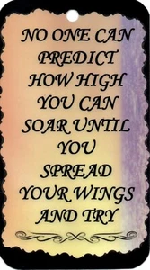 1092 No One Can Predict How High Inspirational Saying Sign Magnet Christian Gift - Bild 1 von 6