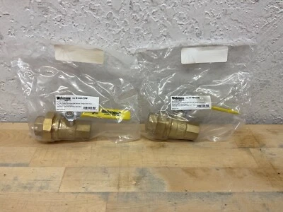 Webstone 3/4” FIP Union xFIP H-40423W Lote 2 Foto 1 de 4