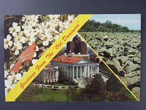 Postal Richmond Virginia The Old Dominion State Capitol Flor Tabaco Años 50 - Imagen 1 de 2