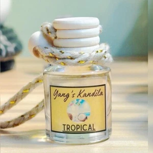 Hanging Car Diffuser Car Freshener Tropical Scent - Picture 1 of 5