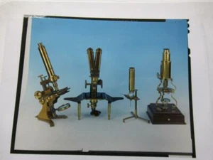 Microscope Transparency (PHOTO ONLY NOT OBJECT) image from science sales catalog - Picture 1 of 1