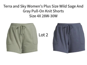 Terra and Sky Women Plus Wild Sage & Gray Pull-On Knit Shorts Size 4X 28W-30W - Picture 1 of 10
