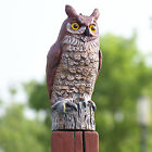 ABS Fake Owl Outdoor Pest Bird Squirrels Pest Repellent for Keep Birds Away