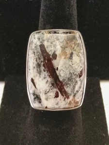 DTR Jay King Ring Astrophyllite Sterling Silver Gallery Collection - Picture 1 of 7