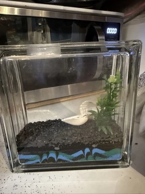 Vintage Glass Block Fish Tank - Image 1 of 4