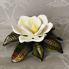 Large Southern Magnolia Flower On A Branch Hand Painted Ceramic Signed 1970's