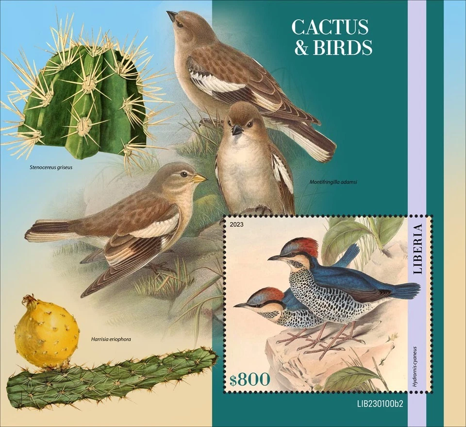 Estampillas de cactus y aves MNH 2023 Liberia S/S Foto 1 de 1