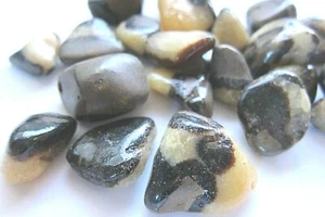 One Septarian Dragon Tumbled Stone 30-40mm XL Healing Crystal Shamans Stone  - Picture 1 of 5