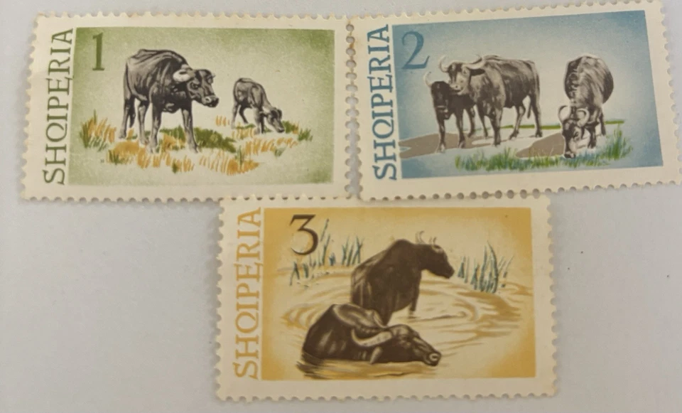 Albania #957-61 used reptiles - Image 1 of 1