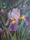 Original Oil Painting Purple Iris Small Floral Signed Art  8×6"
