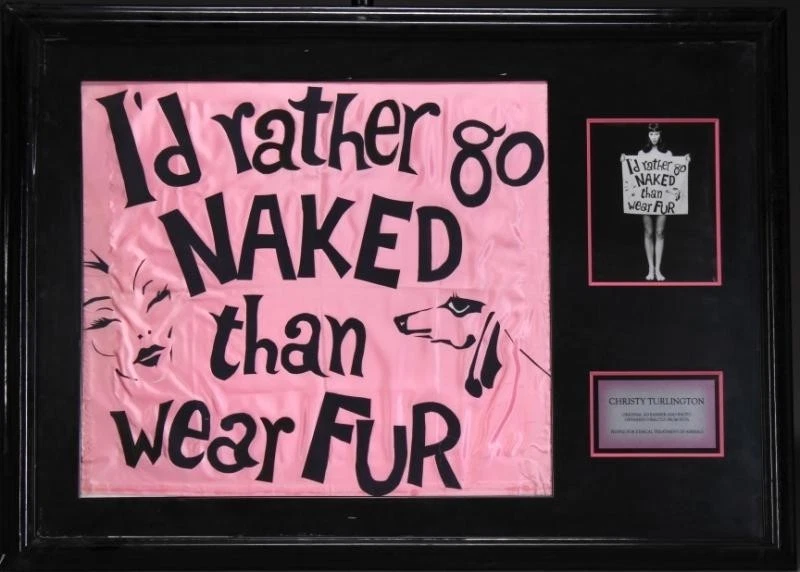 Prefiero ir desnuda que usar piel Christy Turlington PETA original en marco Foto 1 de 1