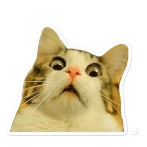 Überraschende Katze Aufkleber Vinyl Miau - Bild 1 von 4