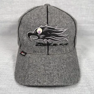 Vintage Y2K Zcud USA Wool Blend Hat Cap Adjustable Ravens Bird Skate Hype - Picture 1 of 11