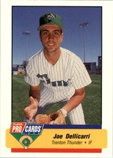 1994 Trenton Thunder Fleer/ProCards #2126 Joe Dellicarri
