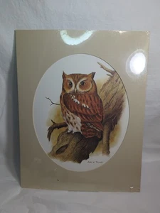 Vintage John W. Taylor Eastern Screech Owl In Red Morph Matted No Frame  - Picture 1 of 7