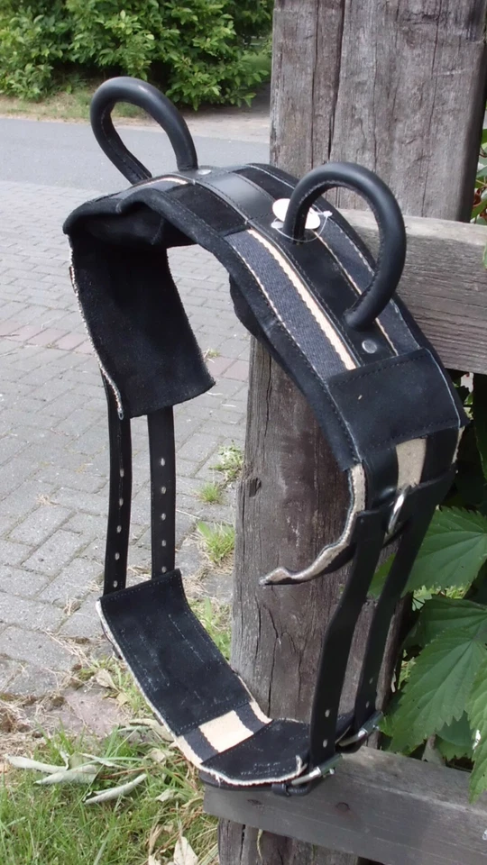 Voltigiergurt /Reithilfe mit zwei Haltegriffe Gr,Shetty ca.125-152 cm,2-Wahl - Bild 1 von 1
