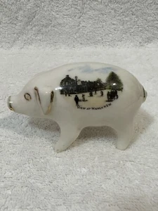 vintage rare souvenir pig early view of manly n.s.w - Picture 1 of 7