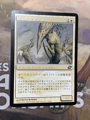 1x Sinew Sliver - LP - Japanese FBB - Planar Chaos - Mtg Card Magic - Image 1 of 2