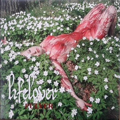 LIFELOVER PULVER GUITAR TAB TABLATURE BOOK BETHLAHEM XASTHUR FORGOTTEN TOMB  - Image 1 of 2