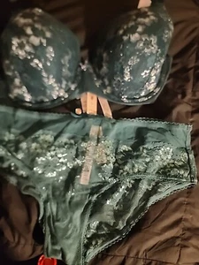 NUEVO CON ETIQUETAS CONJUNTO DE BRAGAS VICTORIA'S SECRET BODY BY VICTORIA SUJETADOR 38D & L HIPHUGGER $73.45 - Imagen 1 de 12