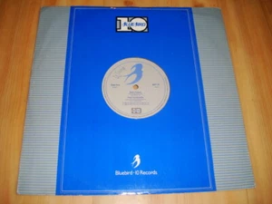 PAUL HARDCASTLE - RAIN FOREST (BLUEBIRD 12") (BRT 15) DIFFERENT B SIDE - Picture 1 of 3